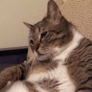 Meet your Posher, Jiaming